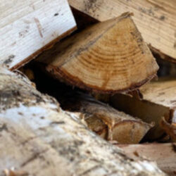 Kiln Dried Birch Logs